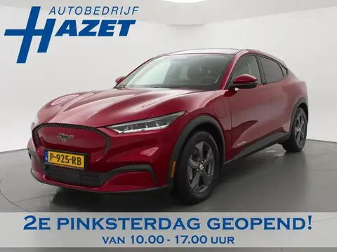 Used FORD MUSTANG Not specified 2020 Ad 