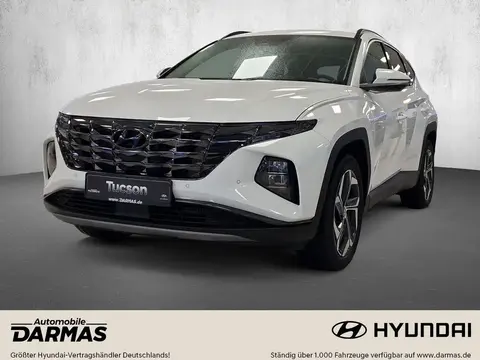 Annonce HYUNDAI TUCSON Hybride 2024 d'occasion 