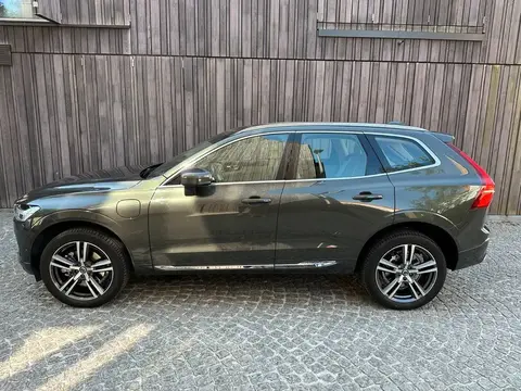 Used VOLVO XC60 Hybrid 2018 Ad Belgium