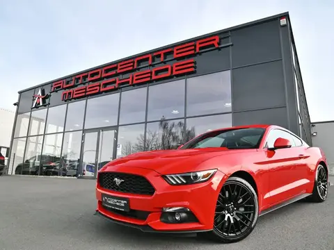 Used FORD MUSTANG Petrol 2017 Ad Germany