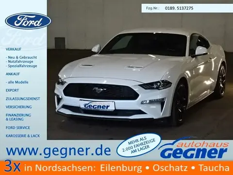 Used FORD MUSTANG Not specified 2019 Ad 