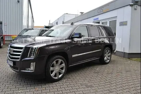 Annonce CADILLAC ESCALADE Essence 2015 d'occasion 