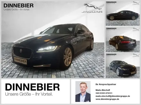 Used JAGUAR XF Diesel 2017 Ad Germany