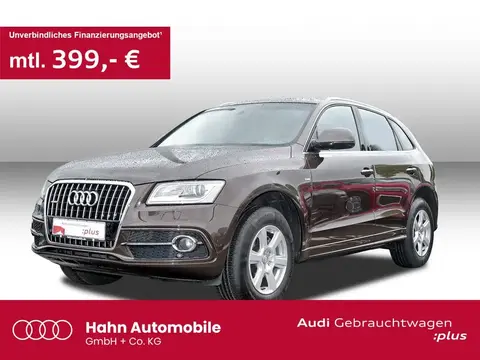 Used AUDI Q5 Not specified 2016 Ad 