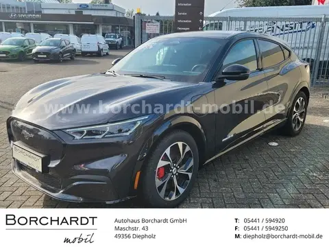 Used FORD MUSTANG Not specified 2024 Ad 