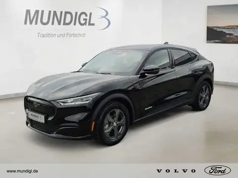 Used FORD MUSTANG Not specified 2021 Ad 