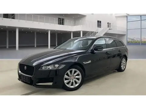 Used JAGUAR XF Not specified 2018 Ad 