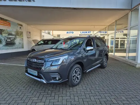 Annonce SUBARU FORESTER  2024 d'occasion Allemagne