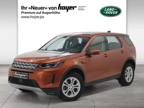 Used LAND ROVER DISCOVERY Hybrid 2020 Ad Germany