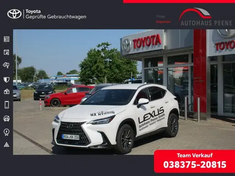 Used LEXUS NX Not specified 2022 Ad 