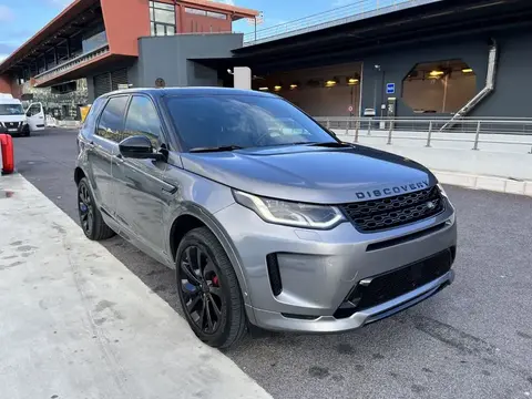 Annonce LAND ROVER DISCOVERY  2020 d'occasion 
