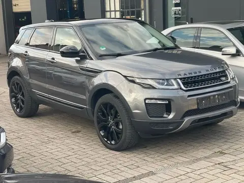 Used LAND ROVER RANGE ROVER EVOQUE Petrol 2019 Ad Germany