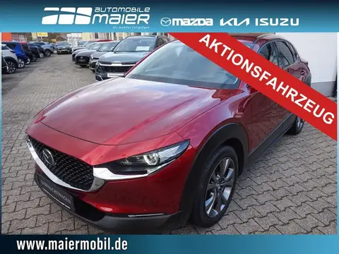 Used MAZDA CX-30 Petrol 2019 Ad Germany