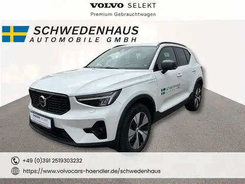 Used VOLVO XC40 Hybrid 2023 Ad 