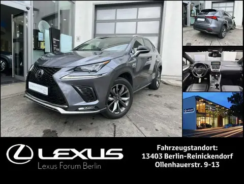 Used LEXUS NX Hybrid 2019 Ad Germany