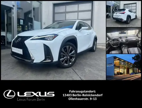 Used LEXUS UX Hybrid 2019 Ad 