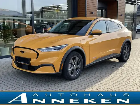 Annonce FORD MUSTANG Non renseigné 2023 d'occasion 