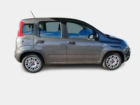 Used FIAT PANDA Not specified 2020 Ad 