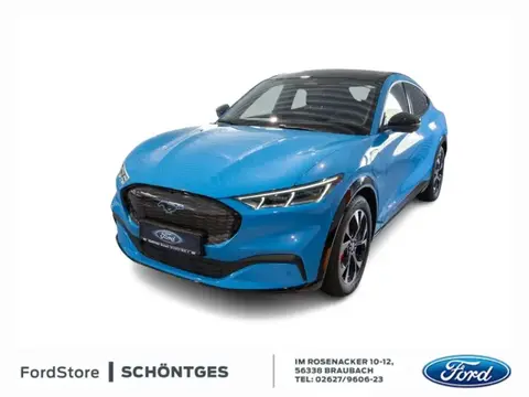 Annonce FORD MUSTANG Non renseigné 2024 d'occasion Allemagne