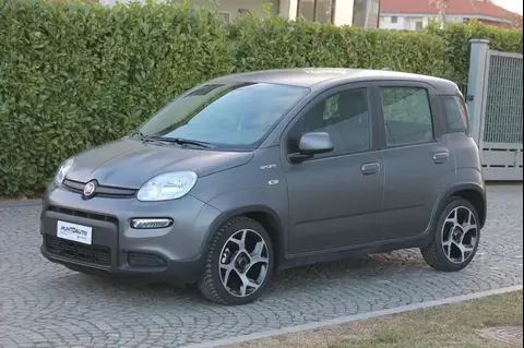 Used FIAT PANDA Not specified 2021 Ad 