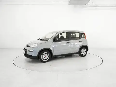 Annonce FIAT PANDA Diesel 2023 d'occasion 