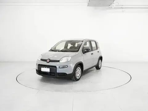 Annonce FIAT PANDA Hybride 2023 d'occasion 