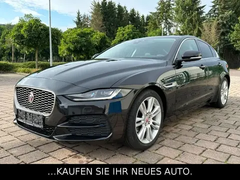 Used JAGUAR XE Petrol 2020 Ad Germany