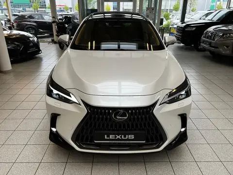 Used LEXUS NX Hybrid 2024 Ad Germany