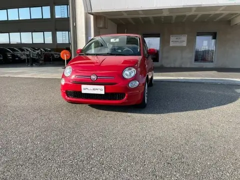 Annonce FIAT 500  2019 d'occasion Italie