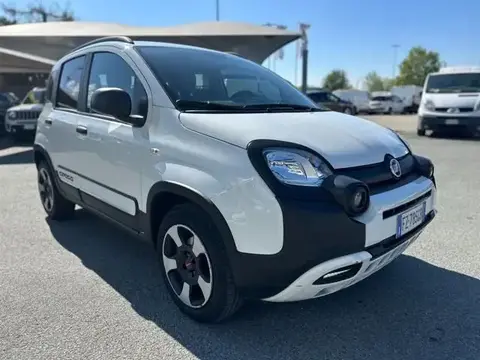 Used FIAT PANDA Not specified 2019 Ad 