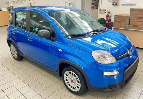 New FIAT PANDA Not specified 2024 ad 