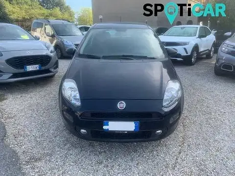 Used FIAT PUNTO Diesel 2016 Ad Italy