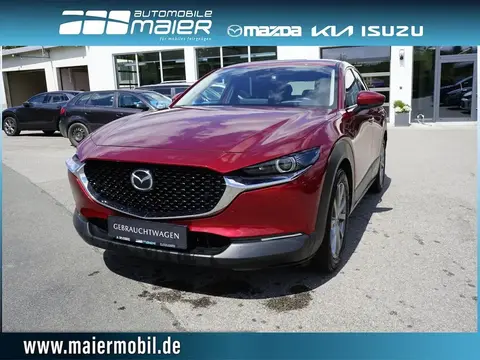 Used MAZDA CX-30 Diesel 2020 Ad Germany
