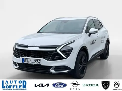 Used KIA SPORTAGE Hybrid 2023 Ad Germany