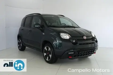 Used FIAT PANDA Not specified 2023 Ad Italy