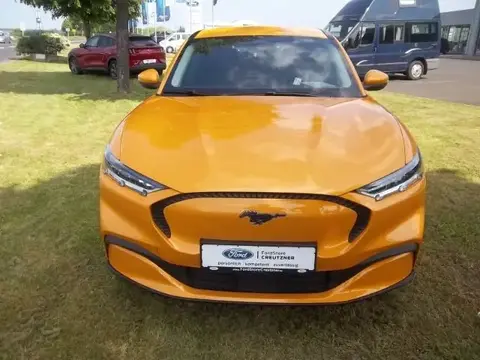 Used FORD MUSTANG Not specified 2023 Ad 