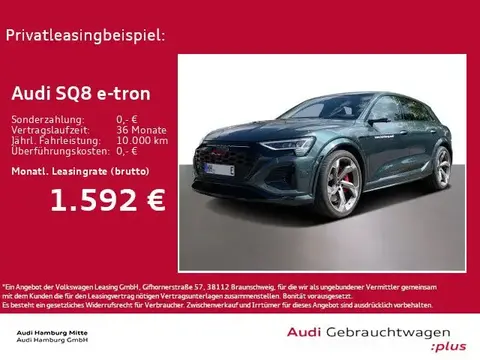 Used AUDI SQ8 Not specified 2024 Ad 