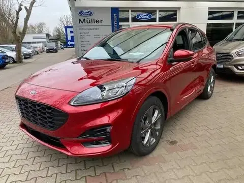 Annonce FORD KUGA Essence 2024 d'occasion Allemagne