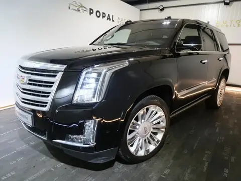 Used CADILLAC ESCALADE Not specified 2019 Ad 
