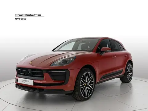 Used PORSCHE MACAN Not specified 2023 Ad 