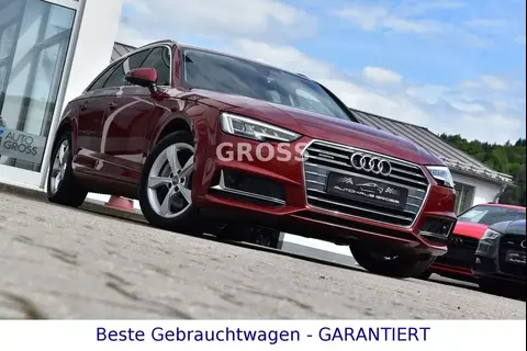 Used AUDI A4 Diesel 2019 Ad Germany