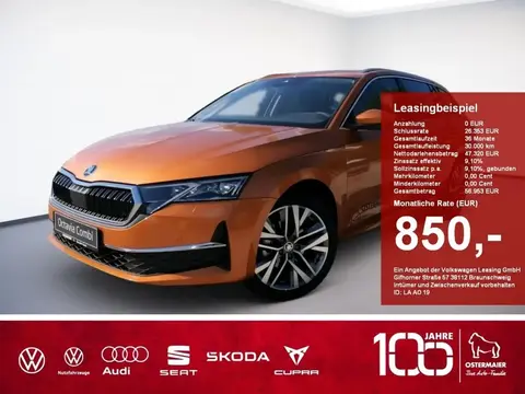 Used SKODA OCTAVIA Petrol 2024 Ad 