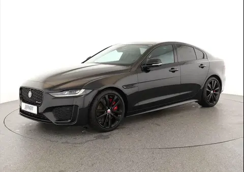 Used JAGUAR XE Not specified 2023 Ad 