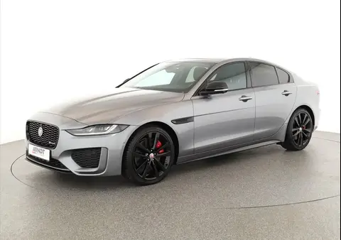 Used JAGUAR XE Not specified 2023 Ad 