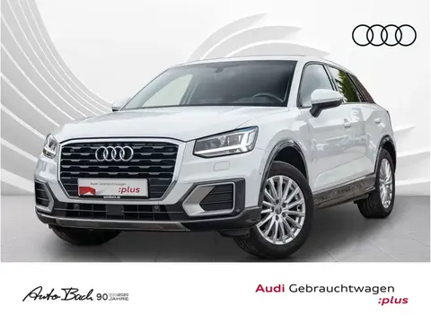 Used AUDI Q2 Diesel 2019 Ad Germany