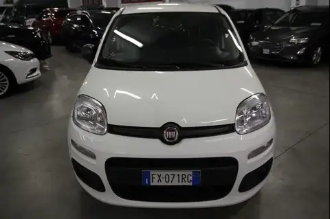 Used FIAT PANDA Not specified 2019 Ad 