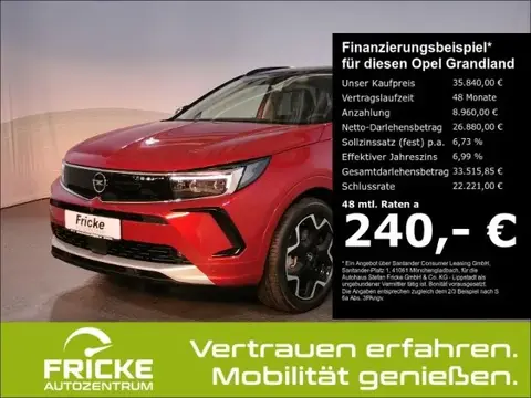 Used OPEL GRANDLAND Hybrid 2023 Ad Germany