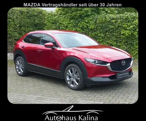 Used MAZDA CX-30 Hybrid 2021 Ad Germany