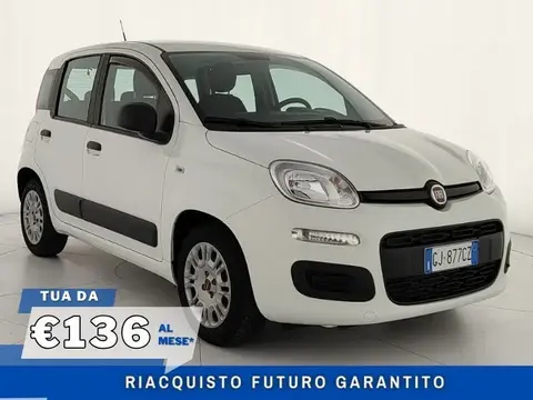 Used FIAT PANDA Hybrid 2022 Ad Italy