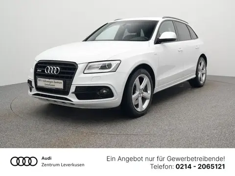 Used AUDI SQ5 Not specified 2017 Ad Germany